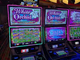 Roulette speed dengan spinning wheel real-time